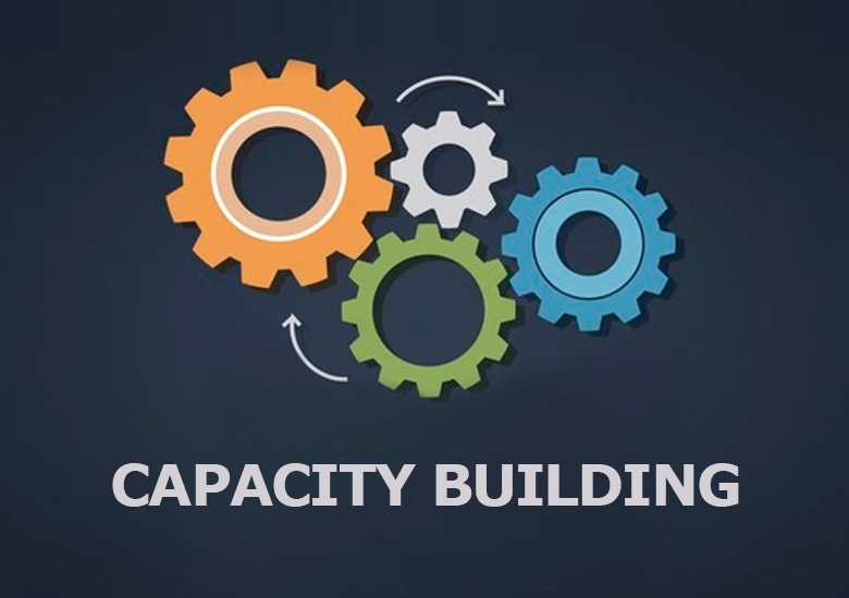 Capacity Building