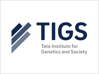 TIGS