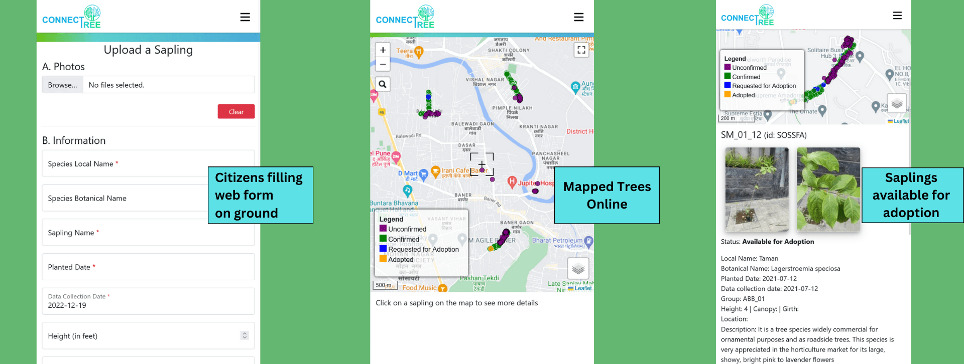 Mapped Trees