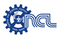 NCL_WW